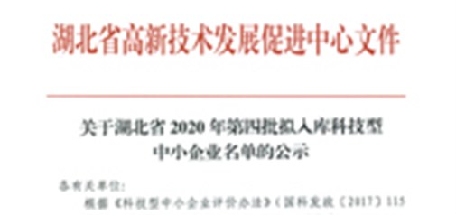 恭喜我司獲得武漢市“科技型中小企業(yè)”榮譽稱號！